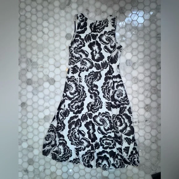 Ann Taylor Navy & White Floral Fit and Flare Dress Fully Lined Sleeveless - Picture 6 of 14